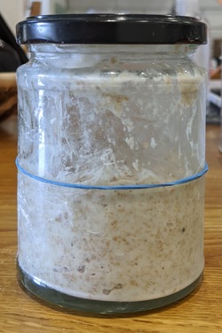Starter when mixed with new flour and water