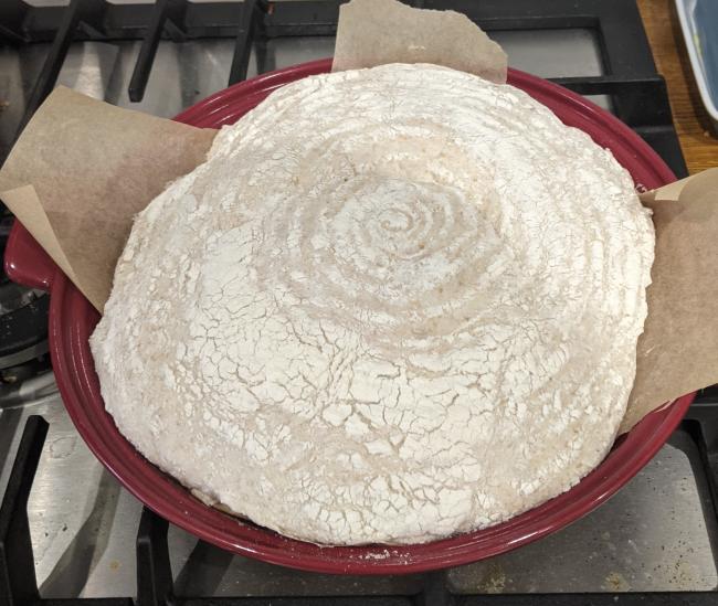 Dough ready to bake on cloche base.